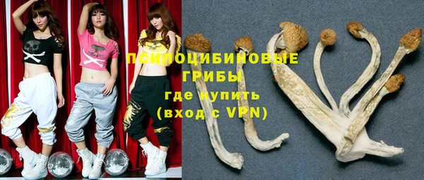 соль ск Корсаков